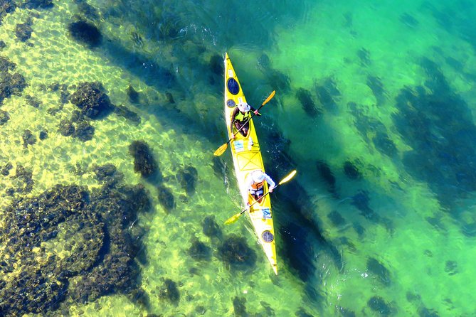 Self-Guided Sydney Middle Harbour Kayak 3 Hour Tour by Double Kayak - Middle Harbour From the Water: Why This 3 Hours Works