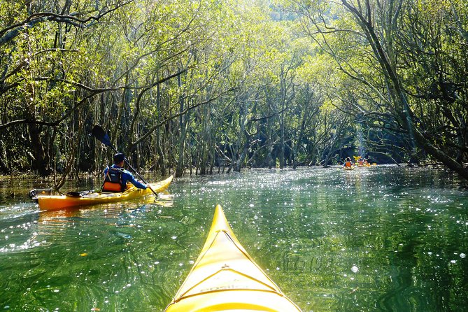 Self-Guided Sydney Middle Harbour Kayak 3 Hour Tour by Double Kayak - Your Paddle Plan: Using the Map and Day Conditions