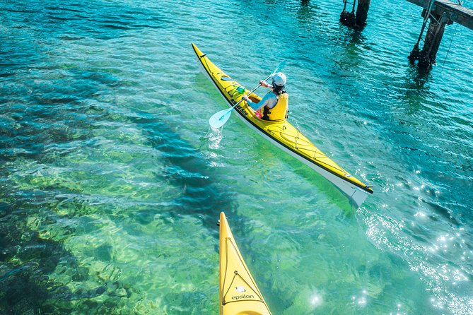 Self-Guided Sydney Middle Harbour Kayak 3 Hour Tour by Single Kayak - Your Sea Kayaks and the Mosman Setup You’ll Actually Use