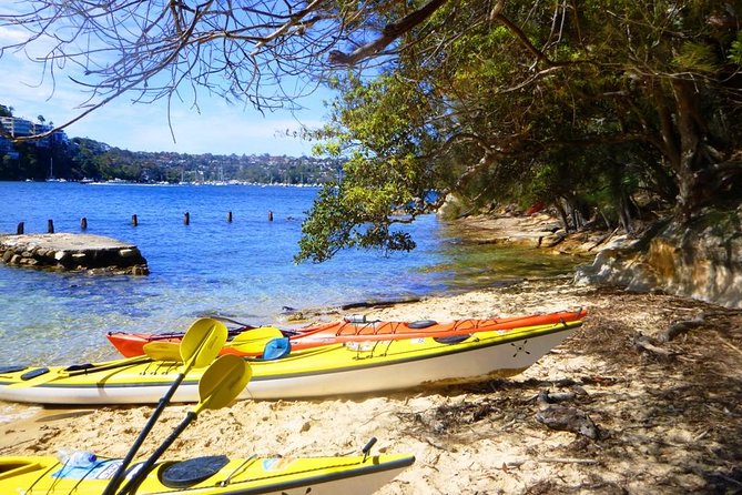 Self-Guided Sydney Middle Harbour Kayak 3 Hour Tour by Single Kayak - Practical Tips for a Smoother Paddle Day