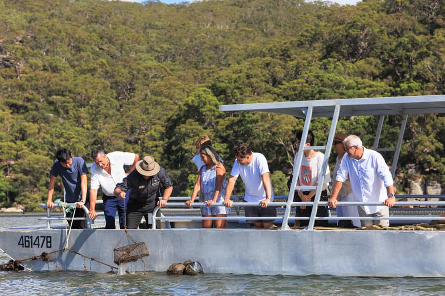 Shell to Showroom - Sydney's only Pearl Farm Experience - The Hawkesbury River cruise: seeing the farm in its real setting
