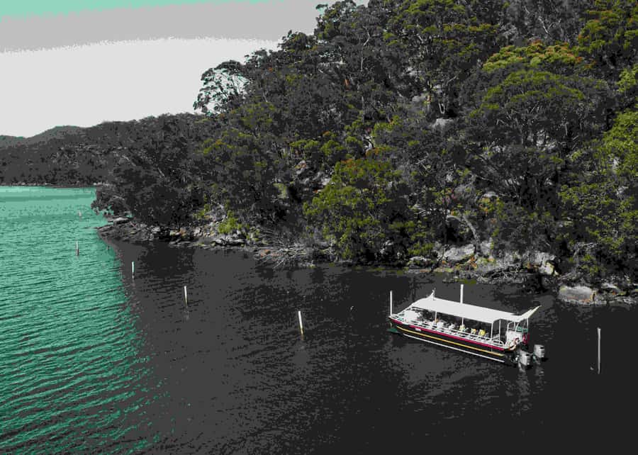 Shell to Showroom - Sydney's only Pearl Farm Experience - Who should book Shell to Showroom?