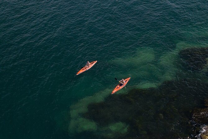 Single Kayak Hire - 4 Hours - What Makes It Work for Beginners (and Not Just Confident Paddlers)