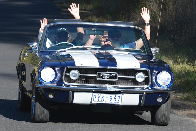 Six-Bridges-of-Sydney-Vintage-Car-Ride-Experience - Lane Cove Tunnel: the engine moment you will remember