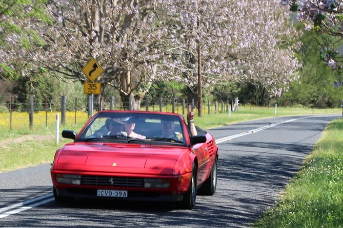 Six-Bridges-of-Sydney-Vintage-Car-Ride-Experience - The bridge string effect: why four bridges between moments matter
