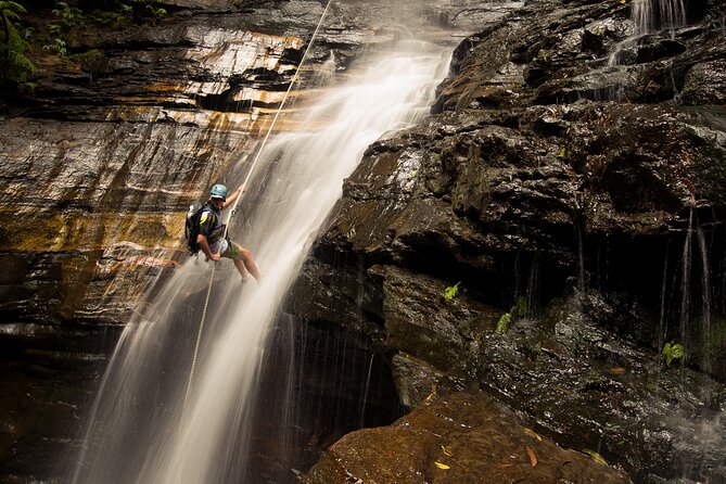 Small-Group Full-Day Rock Climbing Adventure from Katoomba - The picnic break that actually resets your energy
