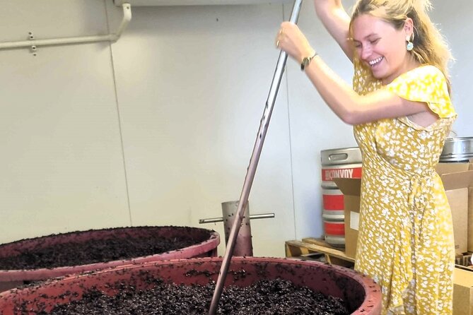 Small Group Hunter Valley Wine Tour + Lunch, Gin & Choc ex Sydney - Why This Hunter Valley Tour Feels Effortless From Sydney