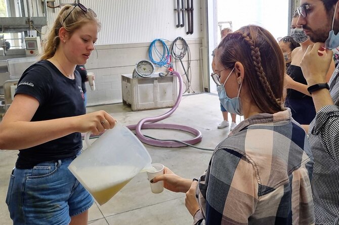 Small Group Hunter Valley Wine Tour w Lunch, Gin, Cheese & Choc - Pickup, timing, and the relaxed 6 to 7 hour pace