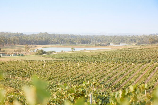 Small Group Hunter Valley Wine Tour w Lunch, Gin, Cheese & Choc - Price and value at about $161: what you’re really paying for