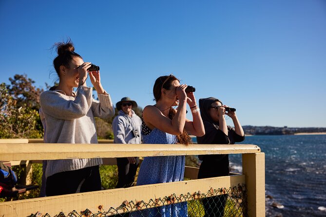 Small Group Manly Snorkel Tour and Nature Walk with Local Guide - What You’ll See Underwater: Fish Species to Look For