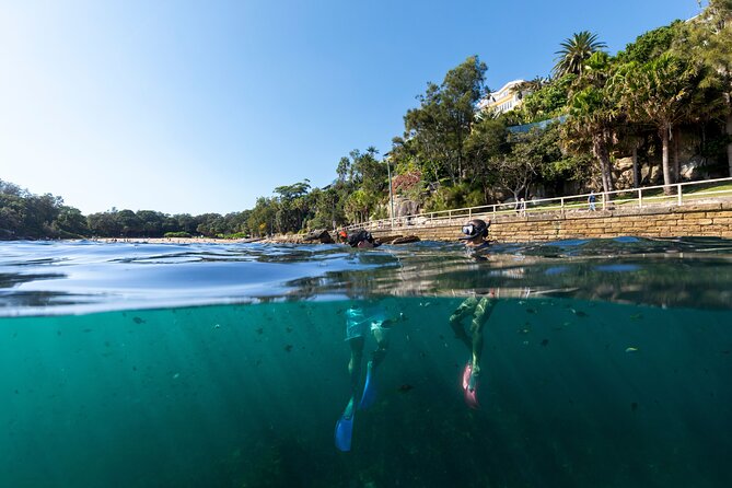 Small Group Manly Snorkel Tour and Nature Walk with Local Guide - The 2.5 Hours: How the Day Flows From Walk to Snorkel