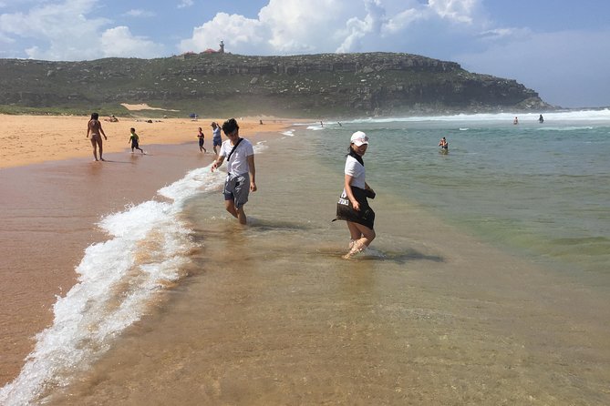 Small-Group Sydney's Northern Beaches & Ku-ring-gai Park Tour - Should You Book This Northern Beaches and Ku-ring-gai Tour?