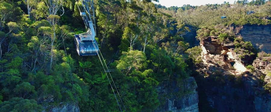 Small Group: Zoo, Blue Mountains, Scenic World Mandarin Tour - The lookouts that make the Blue Mountains look famous