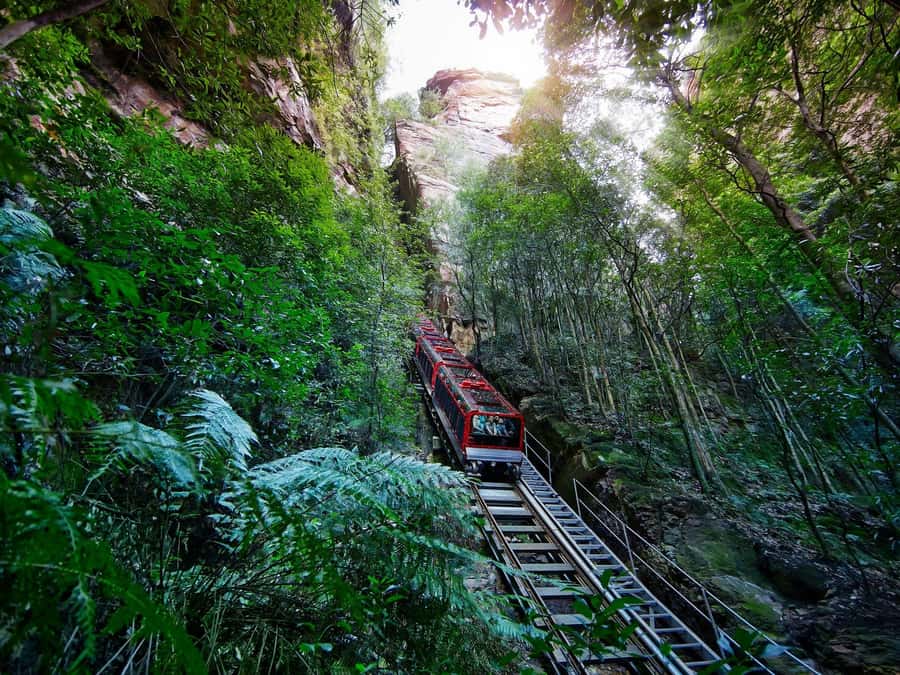 Small Group: Zoo, Blue Mountains, Scenic World Mandarin Tour - Scenic World Unlimited Discovery Pass: the ride block that people talk about