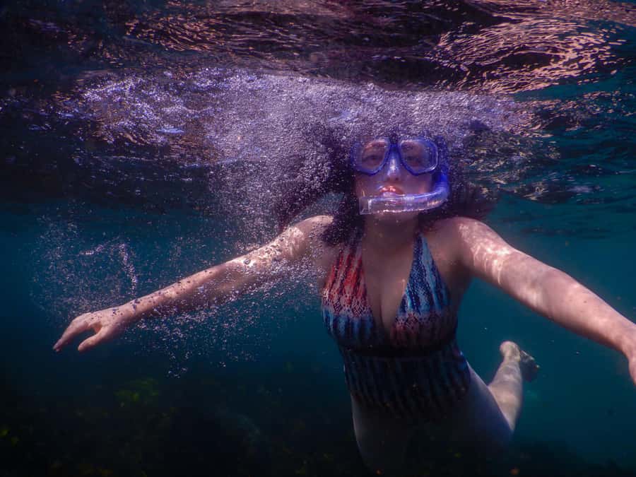 Snorkel Sydney’s Stunning Marine Reserve on a Private Tour - Clovelly Beach vs Gordons Bay: how the guide chooses your best water