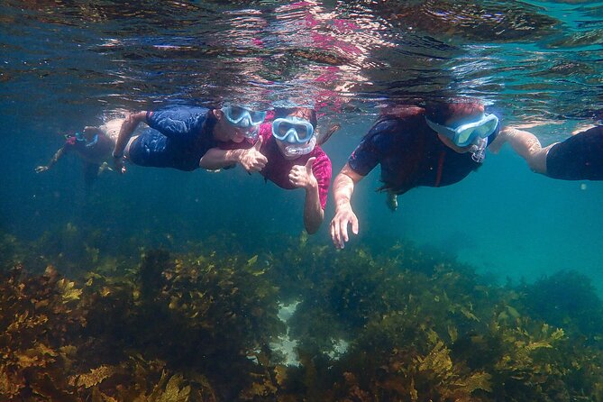 Snorkeling Adventure for Kids with Private Guide In Sydney - Where this fits best in your Sydney plans