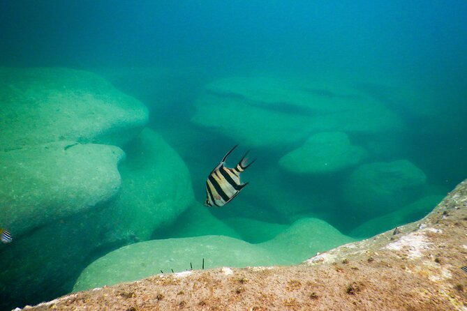 Snorkeling To Discover Sydney's Underwater Wonders - Gear and comfort: what you get, and what might cost extra