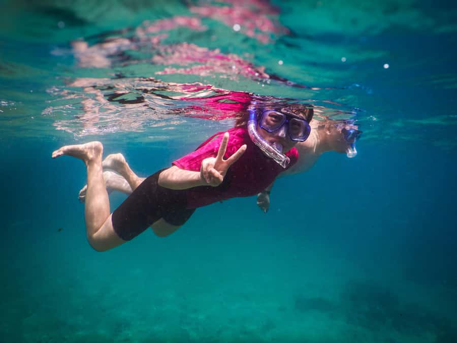 Snorkeling Tour: Discover Sydney’s impressive sea life - Meeting Point Logistics: Clovelly Car Park Is Easy, But Watch Your Side