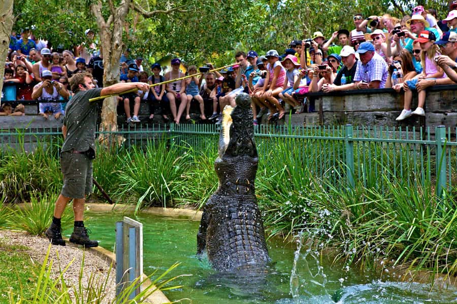 Somersby: Australian Reptile Park Day Pass - 9am to 5pm - Key things I’d put on your must-do list