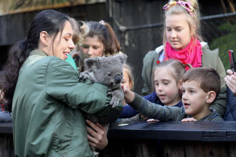 Somersby: Australian Reptile Park Day Pass - 9am to 5pm - Koalas, keeper talks, and the small moments that make it worth it