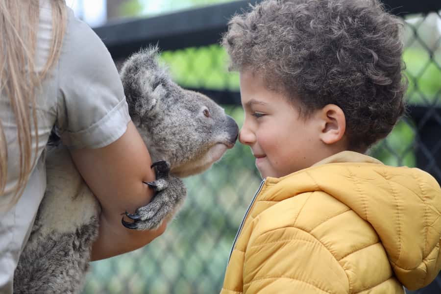 Somersby: Australian Reptile Park Day Pass - 9am to 5pm - Reptile presentations, spiders, and big names like Elvis and Komodo dragon