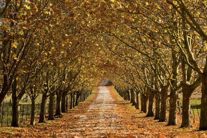 Southern Highlands Private Tour with Wine, Waterfall and Garden - The 10-Hour Route That Connects Bowral, Falls, Gardens, and Wine