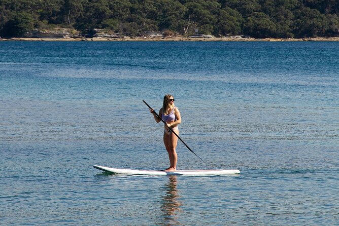 Stand Up Paddle Board Hire - 2 Hours - Manly Kayak Centre, right by the water (and the easy start)