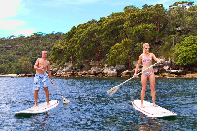 Stand Up Paddle Board Hire - 2 Hours - Boards and equipment: stability is the hidden superpower