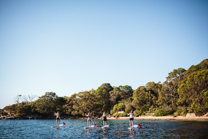Stand Up Paddle Board Hire - 2 Hours - Price and value: $35.86 for a board, a set time, and coaching help