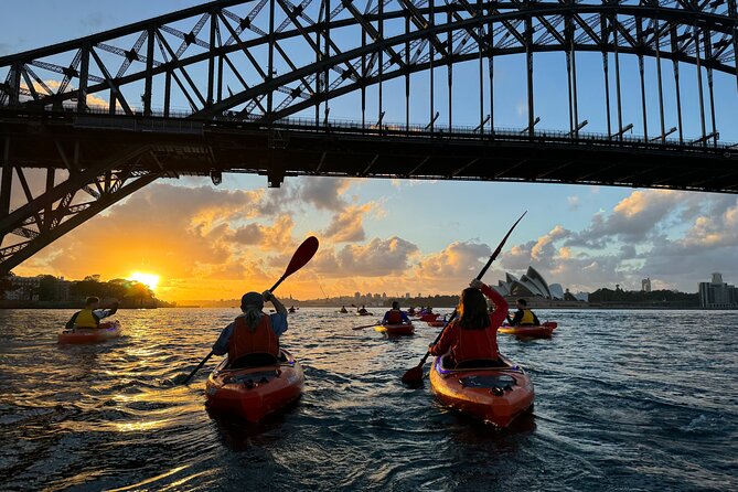 Sunrise Paddle Session on Syndey Harbour (single kayak) - Key things to notice before you go