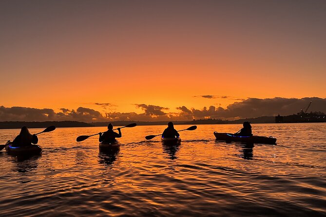 Sunrise Paddle Session on Syndey Harbour (single kayak) - First landmark moment: spotting Fort Denison from the water