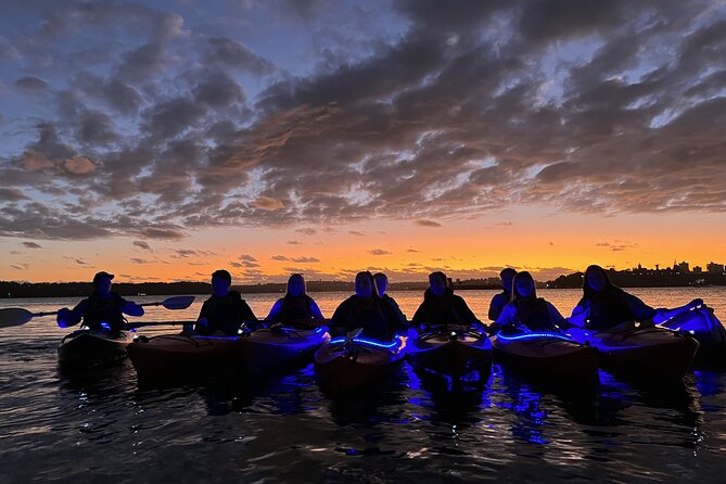 Sunrise Paddle Session on Syndey Harbour (single kayak) - Neutral Bay and Luna Park from the kayak: city views you can’t fake