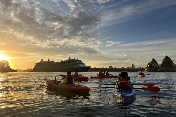 Sunrise Paddle Session on Syndey Harbour (single kayak) - How safe and supported it feels when you’re learning
