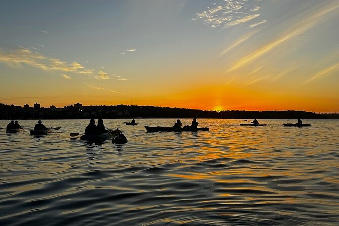 Sunrise Serenity Kayak Tour of Sydney Harbour - Paddle Past the Opera House and Under the Bridge