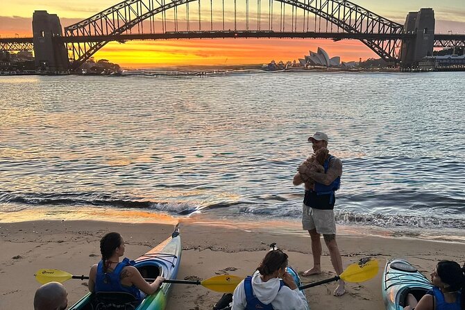 Sunset Harbour Bridge Kayak Escape - Stop 2: Sydney Opera House, golden hour angles you can actually use