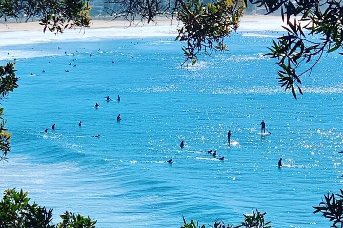 Sydney 6 Hour Private Tour - Guides, vehicles, and pacing: what the best days feel like