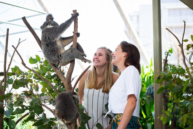 Sydney Attractions Pass: SEA LIFE Aquarium, Sydney Tower Eye, WILD LIFE Zoo and Madame Tussauds - How This Sydney Pass Actually Works for Your Day Plan