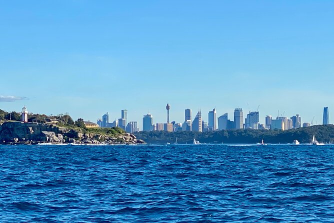 Sydney Beaches Half Day Drive and Walk Tour - Dover Heights: Diamond Bay Cliffs and City Vistas