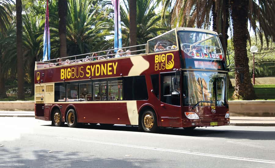 Sydney: Big Bus Hop-On Hop-Off Tour with Optional Cruise - Who should book this, and who might skip the add-ons