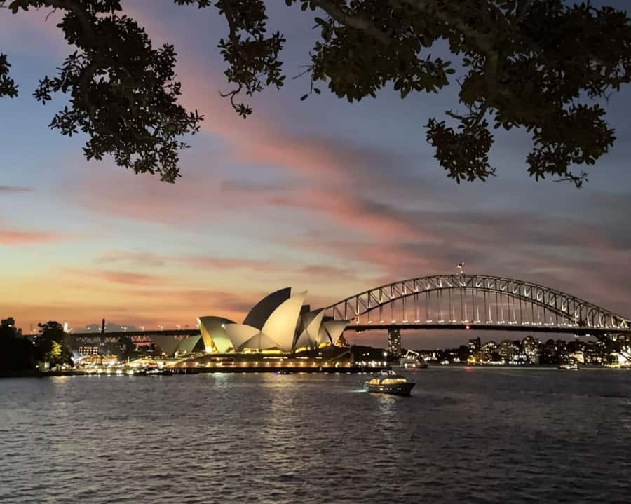 Sydney: Big Bus Panoramic Night Tour by Open-Top Bus - Key Highlights You Should Actually Care About