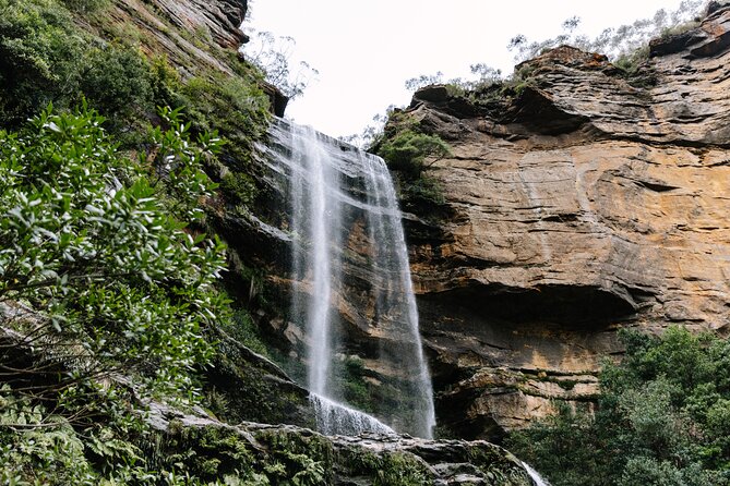 Sydney Blue Mountains Day Tour with Wildlife Park and Waterfalls - Key things that make this tour worth your attention