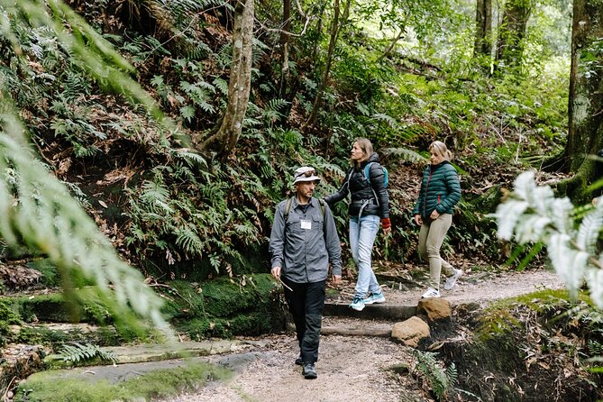 Sydney Blue Mountains Day Tour with Wildlife Park and Waterfalls - Featherdale Wildlife Park: your up-close Australian animal fix