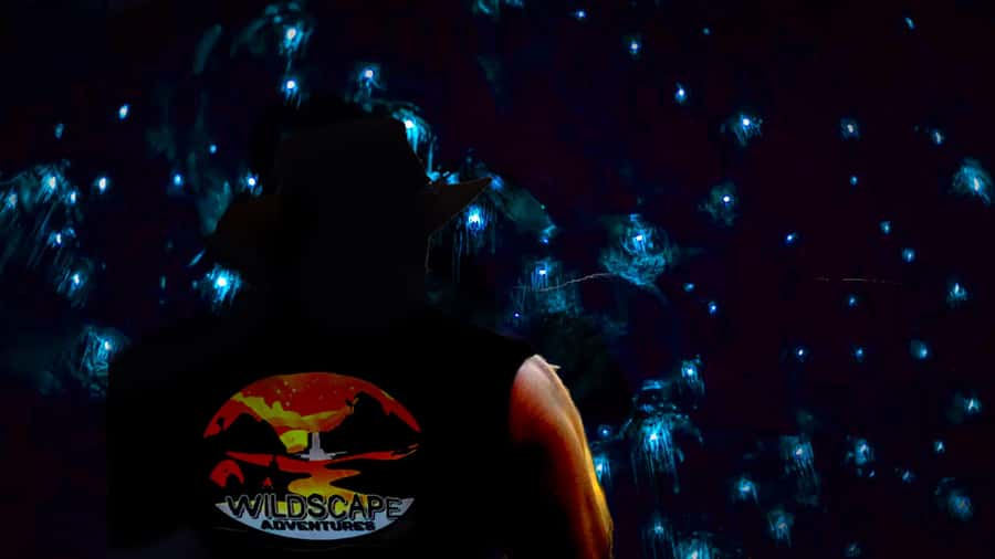 Sydney: Blue Mountains Glow Worms Wild Adventure by Night - Key things that make this tour memorable