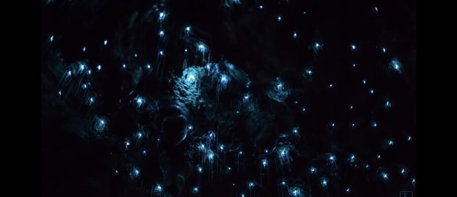Sydney: Blue Mountains Glow Worms Wild Adventure by Night - What to pack for a comfortable 5-hour night adventure