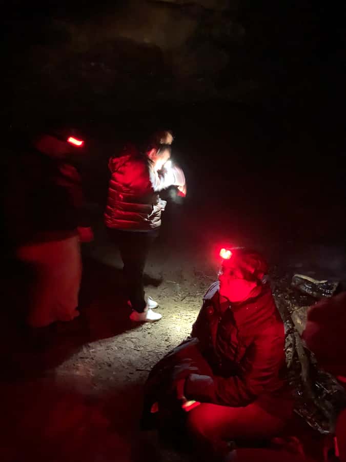 Sydney: Blue Mountains Glow Worms Wild Adventure by Night - Price and value: what $130 gets you, and what you still need to pay for