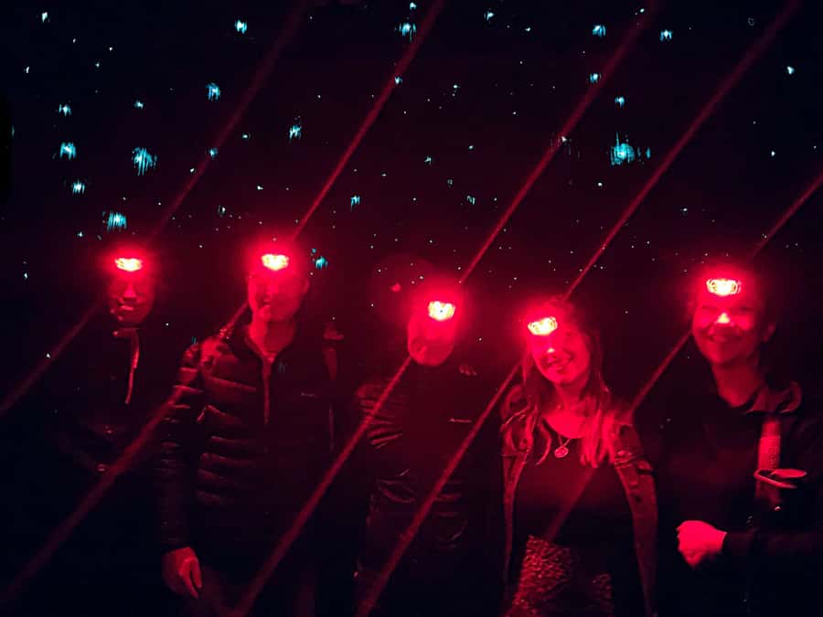 Sydney: Blue Mountains Glow Worms Wild Adventure by Night - Should you book this Sydney glow worm night adventure?