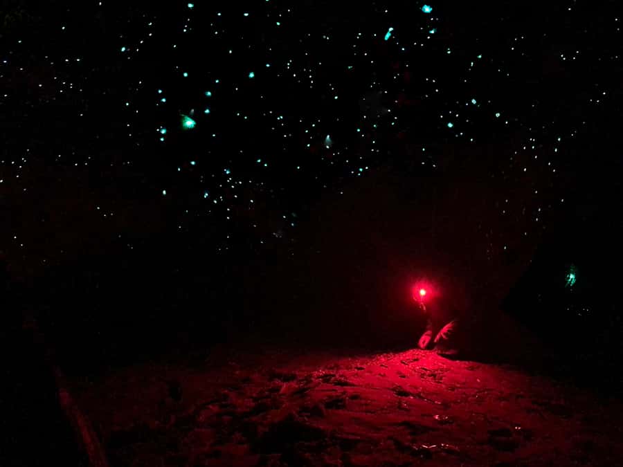 Sydney: Blue Mountains Glow Worms Wild Adventure by Night - Pickup, timing, and the VIP-style Sydney departure