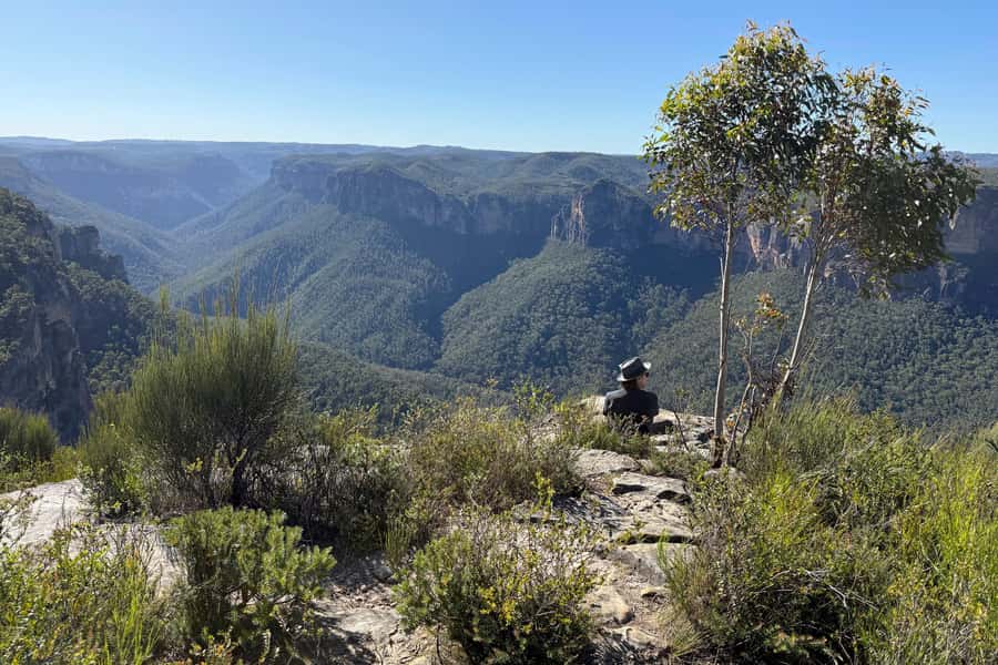 Sydney: Blue Mountains Kangaroos, Wilderness and Sunset Tour - Lunch, snacks, and packing list for a long 10-hour day
