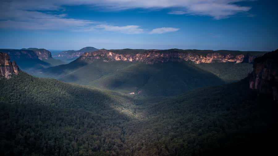 Sydney: Blue Mountains Late Start, Walks Waterfalls & Koalas - A late start that changes how the Blue Mountains feel
