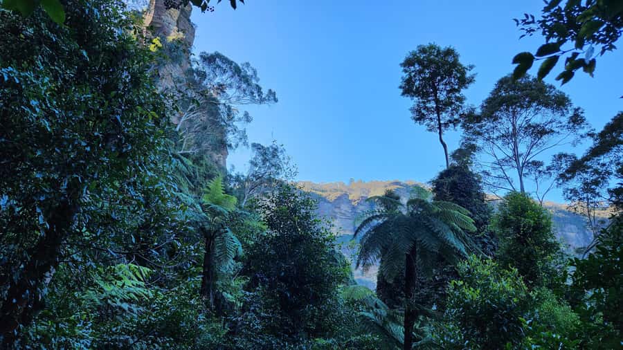 Sydney Blue Mountains, Scenic World, Featherdale (Private) - Echo Point Lookout: your quick classic Blue Mountains moment